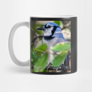 717 bluebird Mug